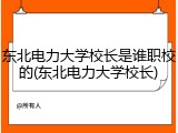 东北电力大学校长是谁职校的(东北电力大学校长)