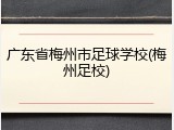广东省梅州市足球学校(梅州足校)