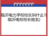 临沂电力学校校长叫什么?(临沂电校校长姓名)