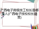 广西电子高级技工校长是哪里人(广西电子技校校长籍贯)