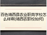 百色靖西县农业职高学校怎么样啊(靖西农职校如何)