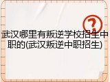 武汉哪里有叛逆学校招生中职的(武汉叛逆中职招生)