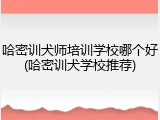 哈密训犬师培训学校哪个好(哈密训犬学校推荐)