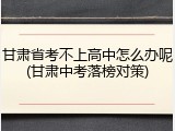 甘肃省考不上高中怎么办呢(甘肃中考落榜对策)