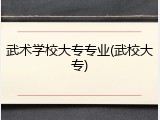 武术学校大专专业(武校大专)