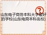 山东电子商务本科大学最好的学校(山东电商本科名校)