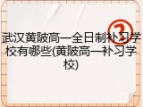 武汉黄陂高一全日制补习学校有哪些(黄陂高一补习学校)