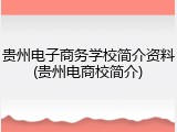 贵州电子商务学校简介资料(贵州电商校简介)