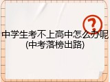 中学生考不上高中怎么办呢(中考落榜出路)