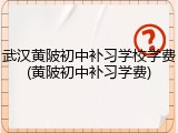 武汉黄陂初中补习学校学费(黄陂初中补习学费)