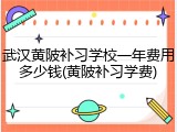 武汉黄陂补习学校一年费用多少钱(黄陂补习学费)