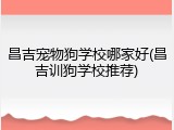 昌吉宠物狗学校哪家好(昌吉训狗学校推荐)