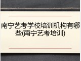 南宁艺考学校培训机构有哪些(南宁艺考培训)