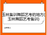 玉林集训舞蹈艺考的地方(玉林舞蹈艺考集训)
