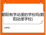 朝阳有学动漫的学校吗(朝阳动漫学校)