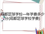 成都足球学校一年学费多少分(成都足球学校学费)