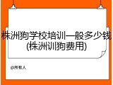 株洲狗学校培训一般多少钱(株洲训狗费用)