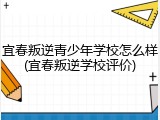 宜春叛逆青少年学校怎么样(宜春叛逆学校评价)