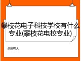 攀枝花电子科技学校有什么专业(攀枝花电校专业)