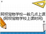 阿坝宠物学校一般几点上课(阿坝宠物学校上课时间)