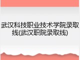 武汉科技职业技术学院录取线(武汉职院录取线)