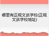 哪里有正规文武学校(正规文武学校地址)