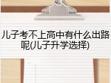 儿子考不上高中有什么出路呢(儿子升学选择)