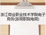 浙江商业职业技术学院电子商务(浙商职院电商)