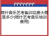 喀什音乐艺考集训花费大概是多少(喀什艺考音乐培训费用)