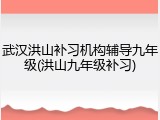 武汉洪山补习机构辅导九年级(洪山九年级补习)