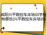咸阳兴平数控车床培训学校有哪些(兴平数控车床培训)