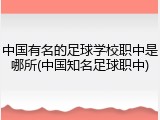 中国有名的足球学校职中是哪所(中国知名足球职中)