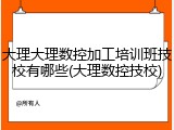 大理大理数控加工培训班技校有哪些(大理数控技校)