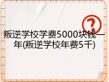 叛逆学校学费5000块钱一年(叛逆学校年费5千)