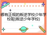 哪有正规的叛逆学校少年学校呢(叛逆少年学校)