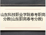 山东科技职业学院春考职高分数(山东职高春考分数)