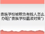 贵族学校被欺负有钱人怎么办呢("贵族学校霸凌对策")