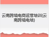 云南跨境电商运营培训(云南跨境电培)