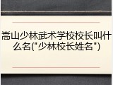 嵩山少林武术学校校长叫什么名("少林校长姓名")