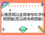 云南昆明冶金高等专科学校杨丽敏(昆冶高专杨丽敏)
