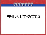 专业艺术学校(美院)
