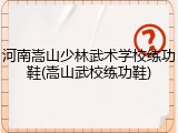 河南嵩山少林武术学校练功鞋(嵩山武校练功鞋)