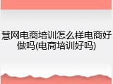 慧网电商培训怎么样电商好做吗(电商培训好吗)