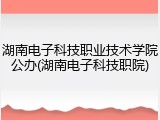 湖南电子科技职业技术学院公办(湖南电子科技职院)