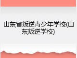 山东省叛逆青少年学校(山东叛逆学校)