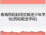 青海民和封闭式叛逆少年学校(民和叛逆学校)