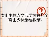 嵩山少林寺文武学校有几个(嵩山少林武校数量)