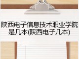 陕西电子信息技术职业学院是几本(陕西电子几本)