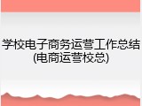 学校电子商务运营工作总结(电商运营校总)
