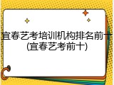 宜春艺考培训机构排名前十(宜春艺考前十)
